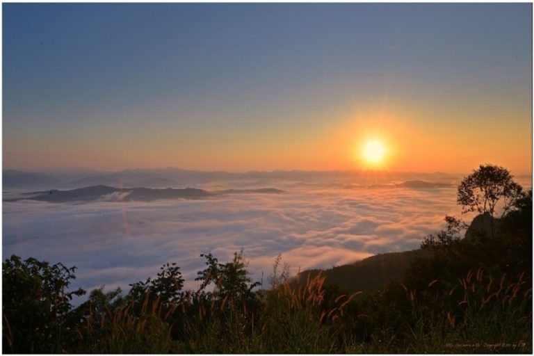 ดอยเสมอดาว