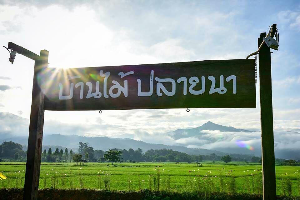บ้านไม้ ปลายนา