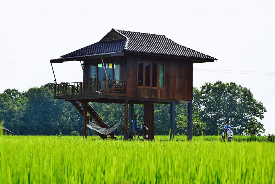 บ้านไม้ ปลายนา