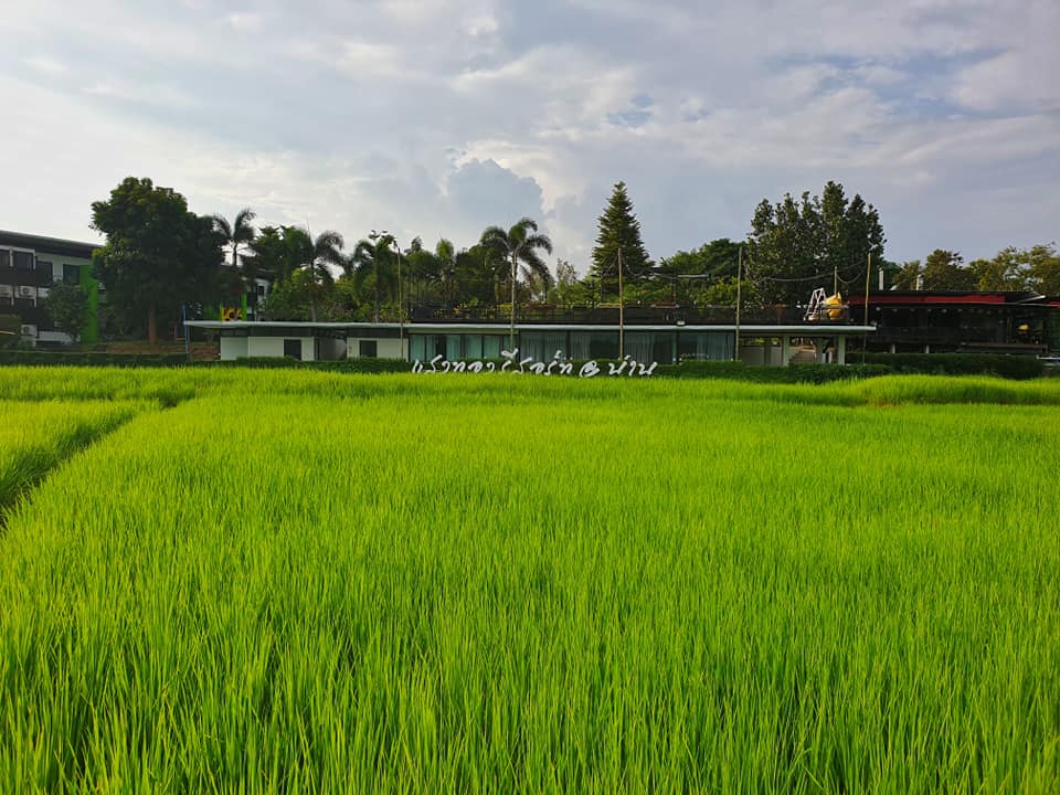 แสงทองรีสอร์ท น่าน