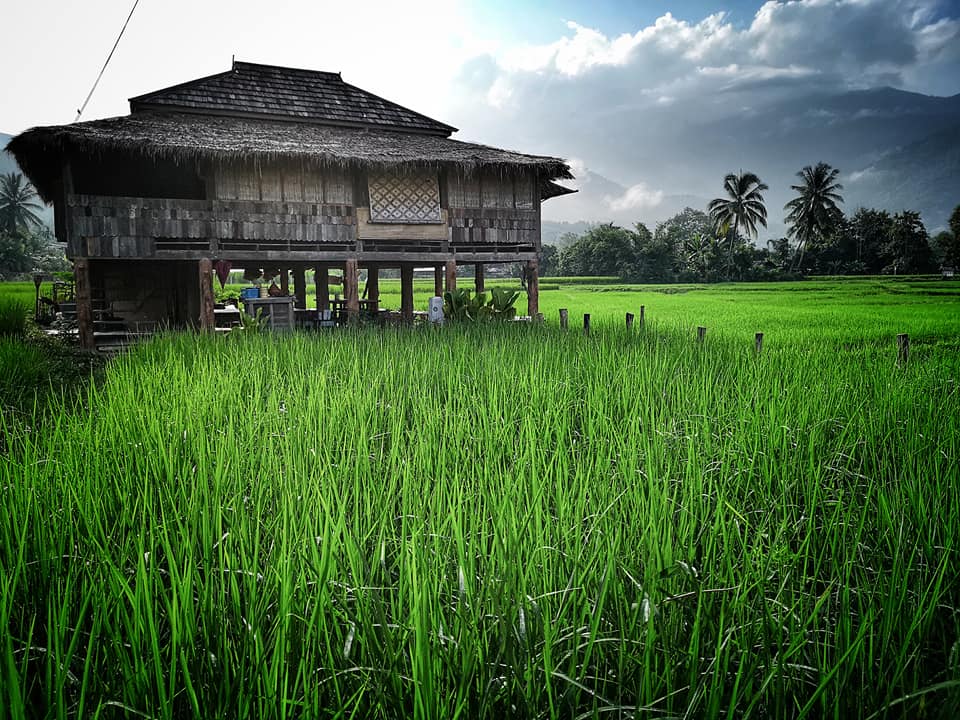 โรงเรียนชาวนา ตำบลศิราเพชร